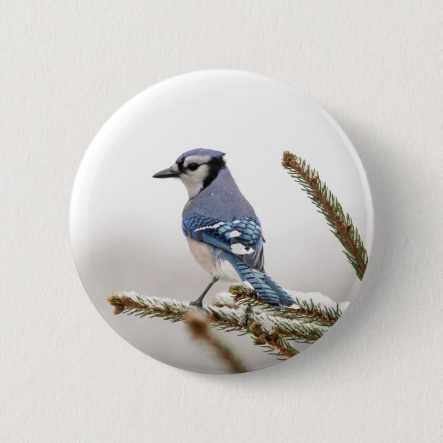 Blue Jay in Winter 2 Inch Round Button (Front)