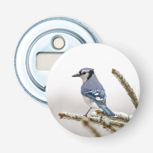 Blue Jay in Winter Bottle Opener