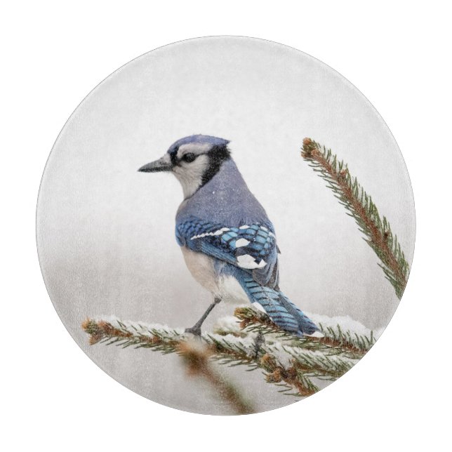 Blue Jay in Winter Cutting Board (Front)