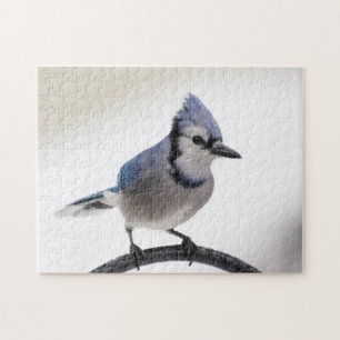 Blue Jay in Winter Jigsaw Puzzle