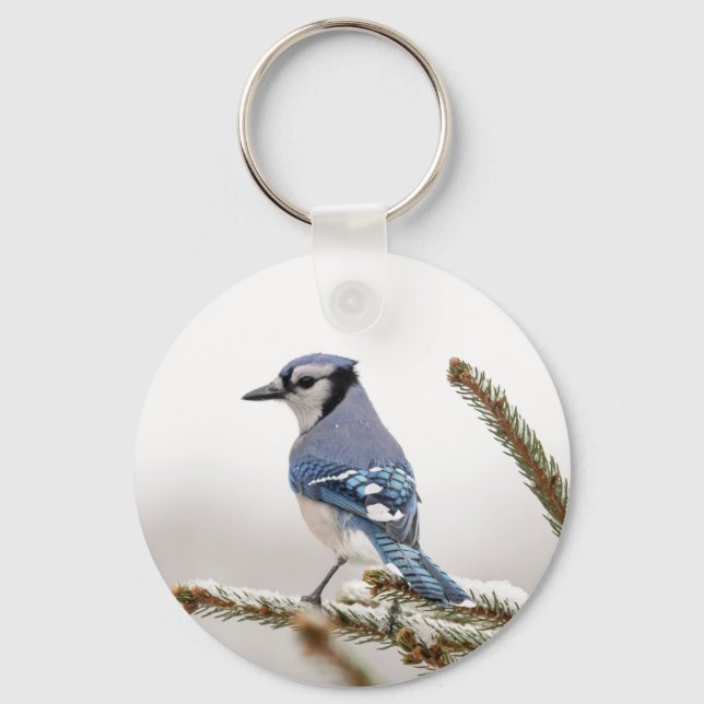 Blue Jay in Winter Keychain (Front)