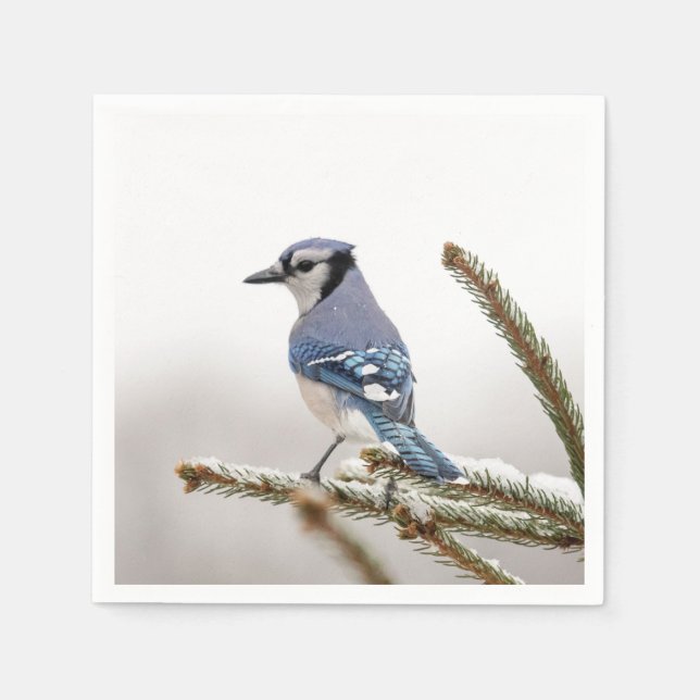 Blue Jay in Winter Napkin (Front)