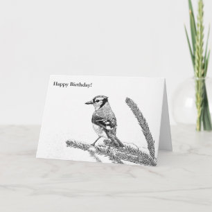 Blue Jay in Winter Sketch Carte d'anniversaire