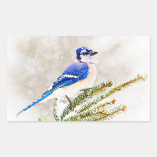 Blue Jay in Winter Sticker
