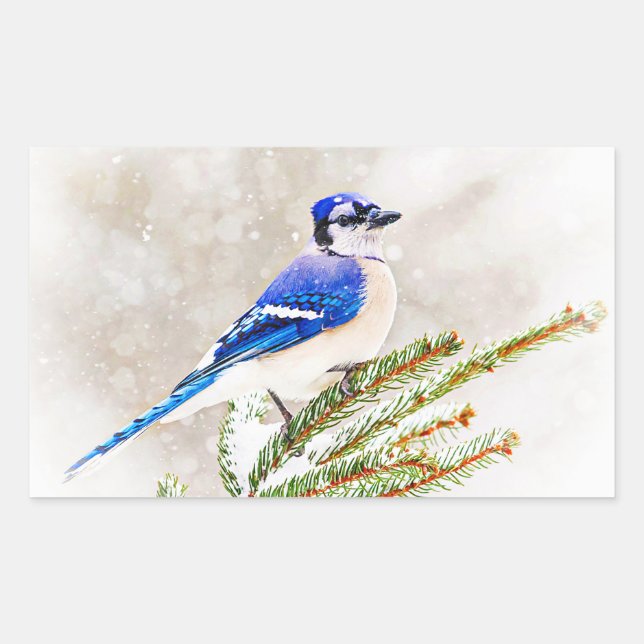 Blue Jay in Winter Sticker (Front)