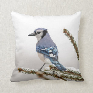 Blue Jay in Winter Throw Pillow