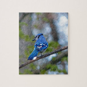 Blue Jay Jigsaw Puzzle