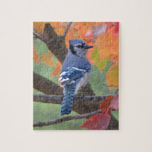 Blue Jay Jigsaw Puzzle