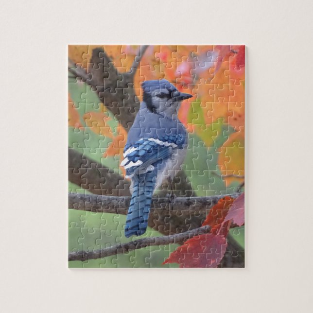 Blue Jay Jigsaw Puzzle (Vertical)