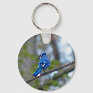 Blue Jay Keychain