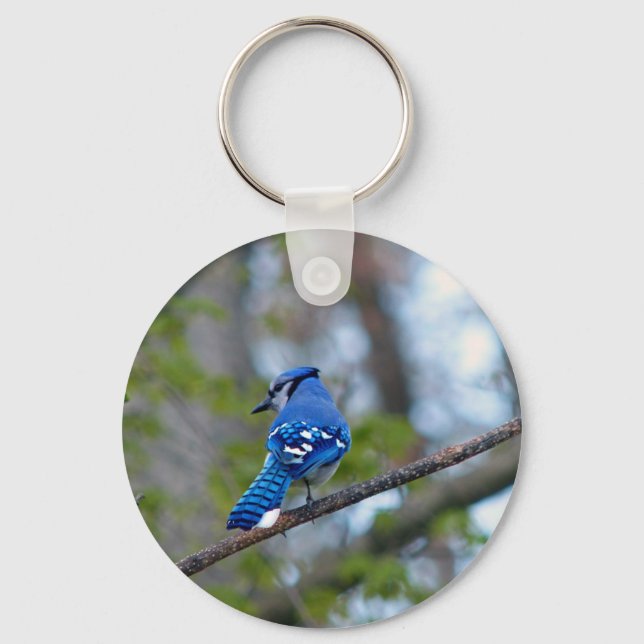 Blue Jay Keychain (Front)