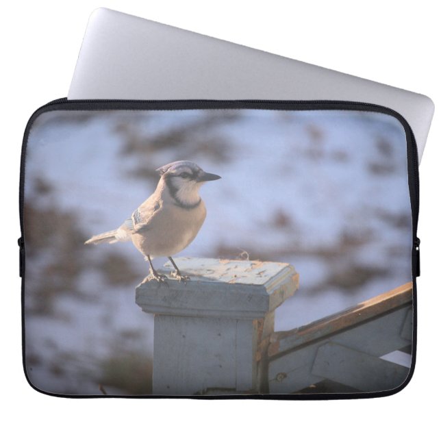 Blue Jay Laptop Sleeve (Front)