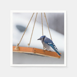 Blue Jay Lunch Napkin