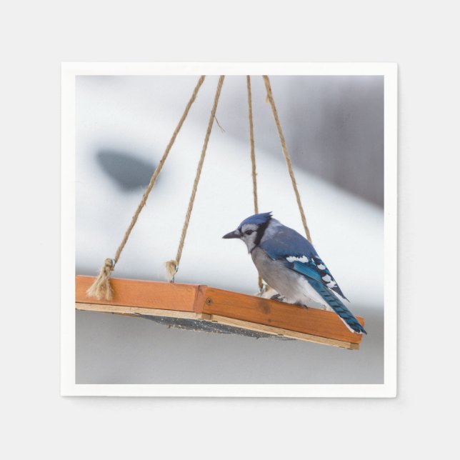 Blue Jay Lunch Napkin (Front)