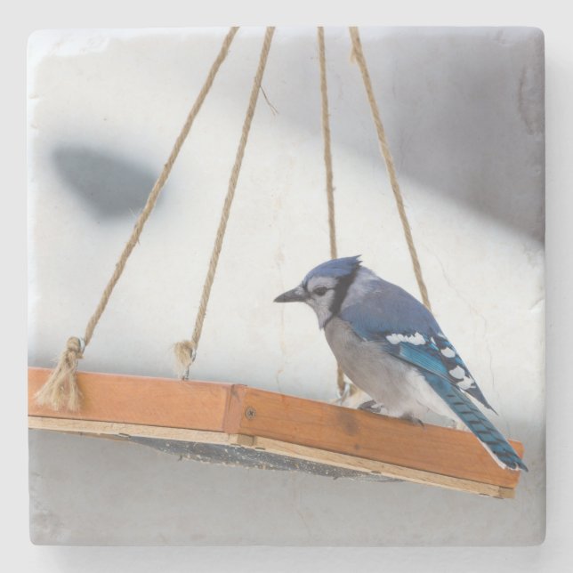 Blue Jay Lunch Stone Coaster (Front)