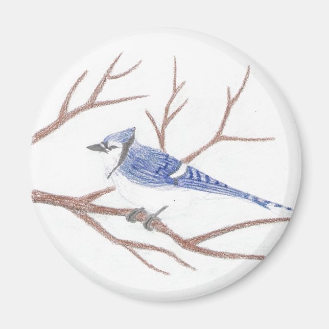 Blue Jay Magnet (Front)