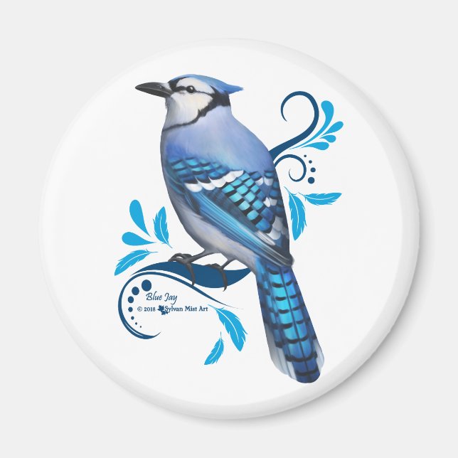 Blue Jay Magnet (Front)