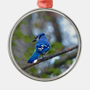 Blue Jay Metal Ornament