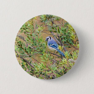 Blue Jay on Southern Wax Myrtle 2 Inch Round Button
