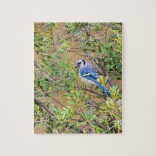 Blue Jay on Southern Wax Myrtle Jigsaw Puzzle