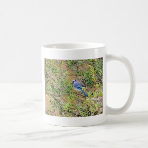 Blue Jay on Wax Myrtle Coffee Mug