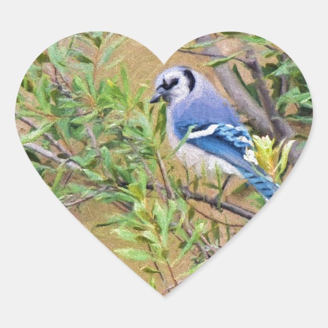 Blue Jay on Wax Myrtle Heart Sticker (Front)