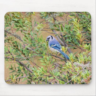 Blue Jay on Wax Myrtle Mouse Pad