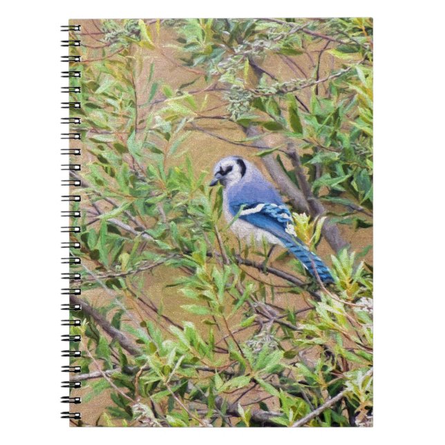 Blue Jay on Wax Myrtle Notebook (Front)