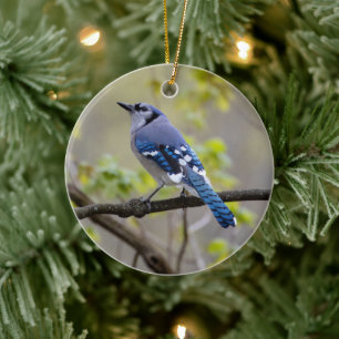 Blue Jay Ornement en céramique
