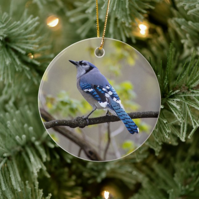 Blue Jay | Ornement en céramique (Arbre)