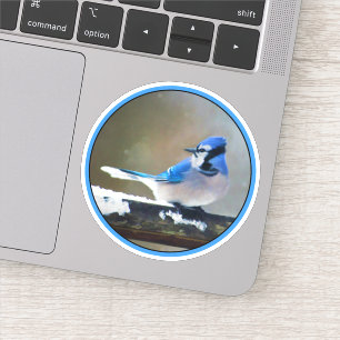 Blue Jay Painting - Original Bird Art