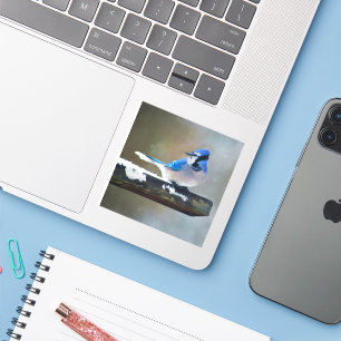 Blue Jay Painting - Original Bird Art