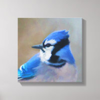 Blue Jay Painting - Original Bird Art