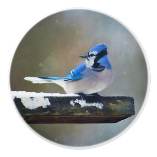 Blue Jay Painting - Original Bird Art Ceramic Knob (Front)