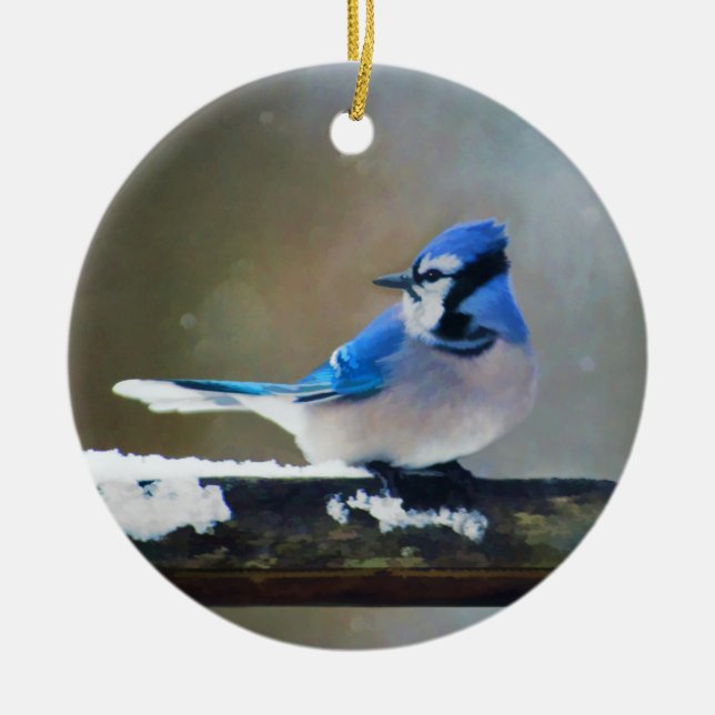 Blue Jay Painting - Original Bird Art Ceramic Ornament (Front)