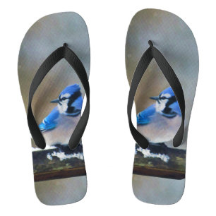 Blue Jay Painting - Original Bird Art Flip Flops