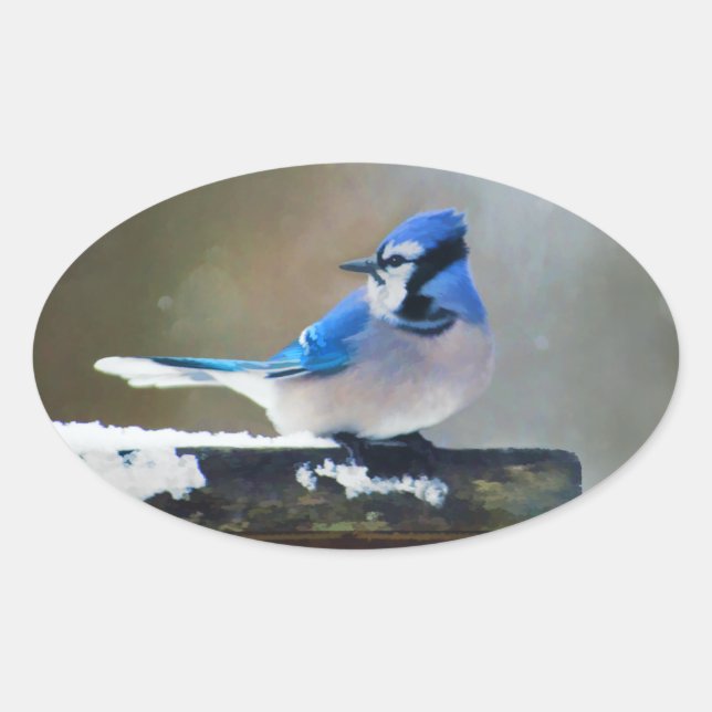 Blue Jay Painting - Original Bird Art Oval Sticker (Front)