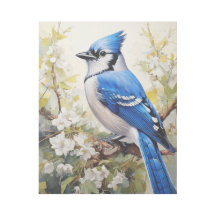 Blue Jay Perched on a Branch with Blossoms