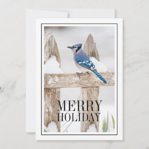 Blue Jay Perched on Snowy Fence Holiday Card