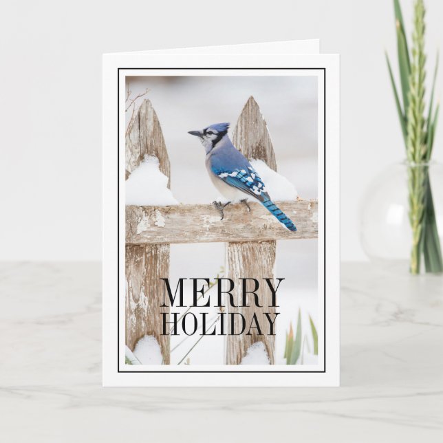 Blue Jay Perched on Snowy Fence Holiday Card (Front)