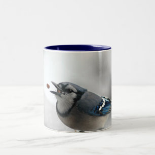 Blue Jay Photo Two-Tone Coffee Mug
