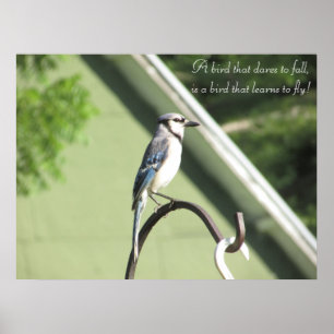 Blue Jay Photograph Inspirational Quote Poster