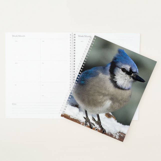 Blue Jay Planner (Display)