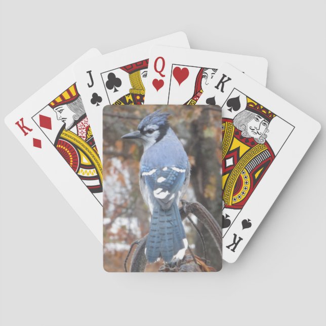 Blue Jay Playing Cards (Back)