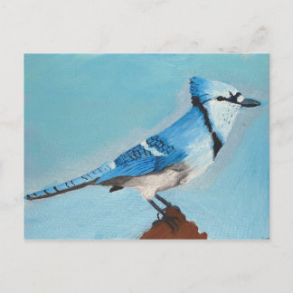 Blue Jay postcard