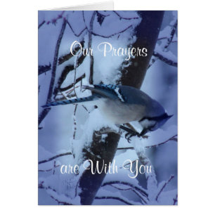 Blue Jay Prayers 7132- customize any occasion