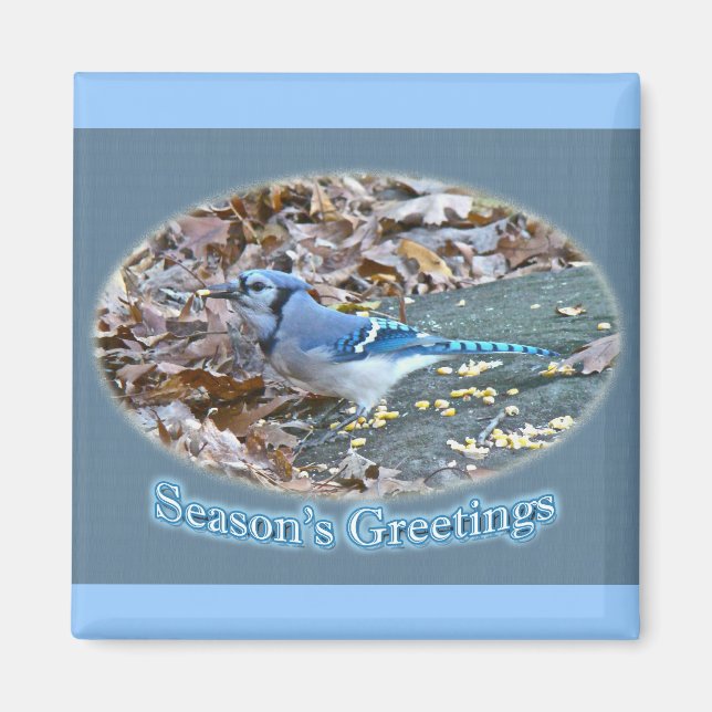 Blue Jay Season's Greetings Series Magnet (Front)