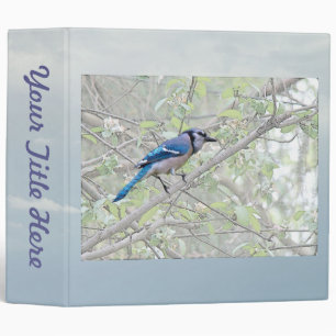 Blue Jay Songbird Binder