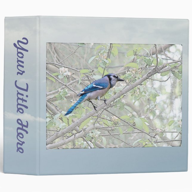 Blue Jay Songbird Binder (Front/Spine)