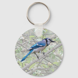 Blue Jay Songbird Keychain
